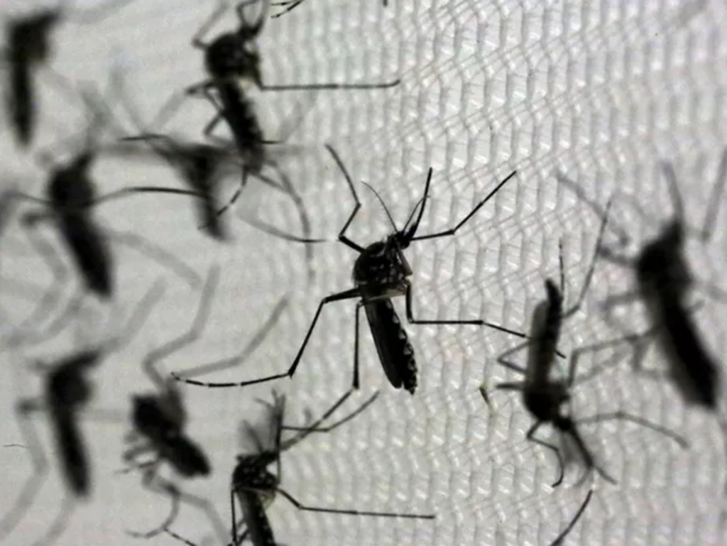 Paulo Whitaker/Reuters - 