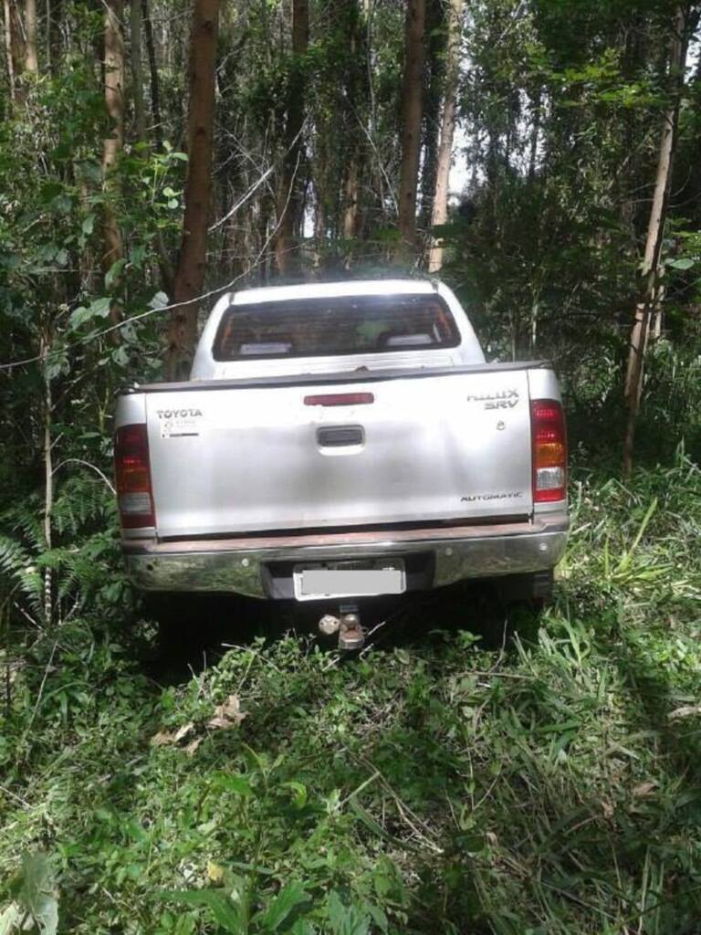 Divulgação - 