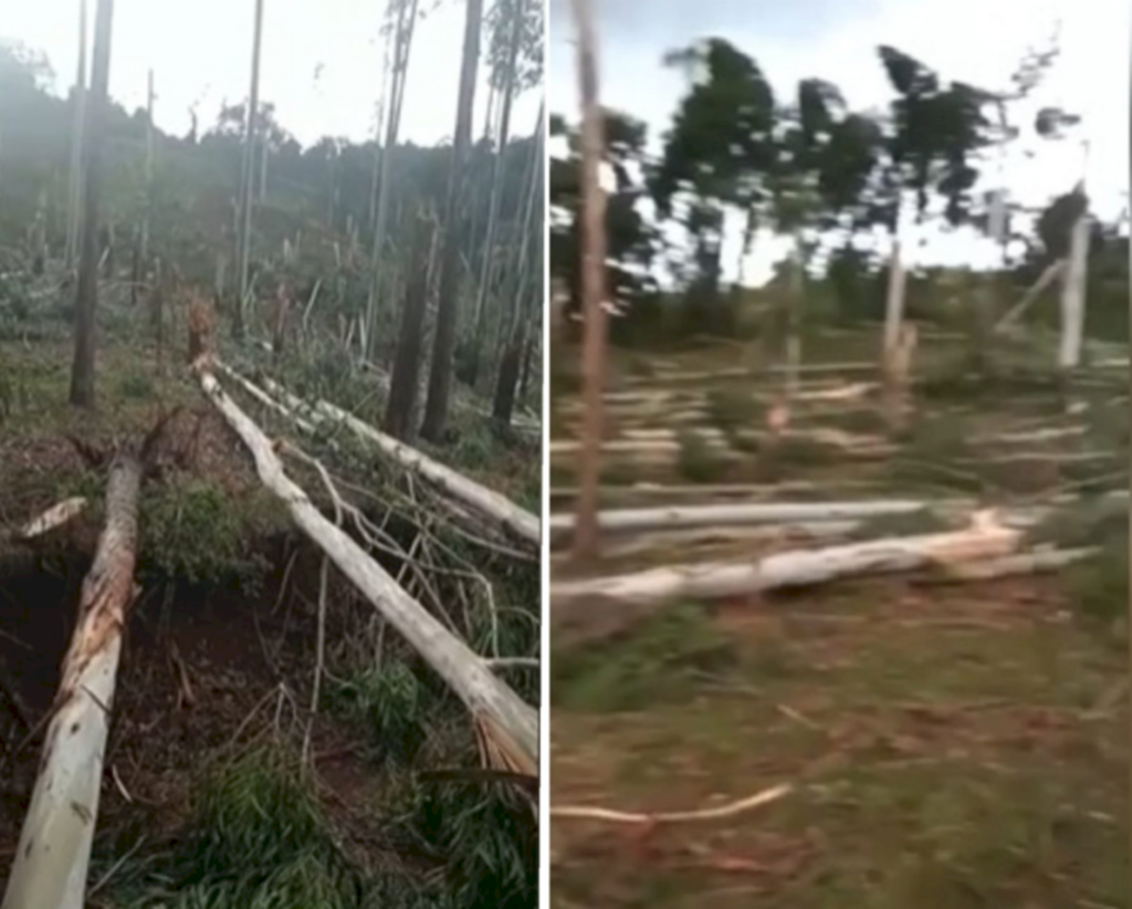 Reprodução vídeo Defesa Civil/ND + - 