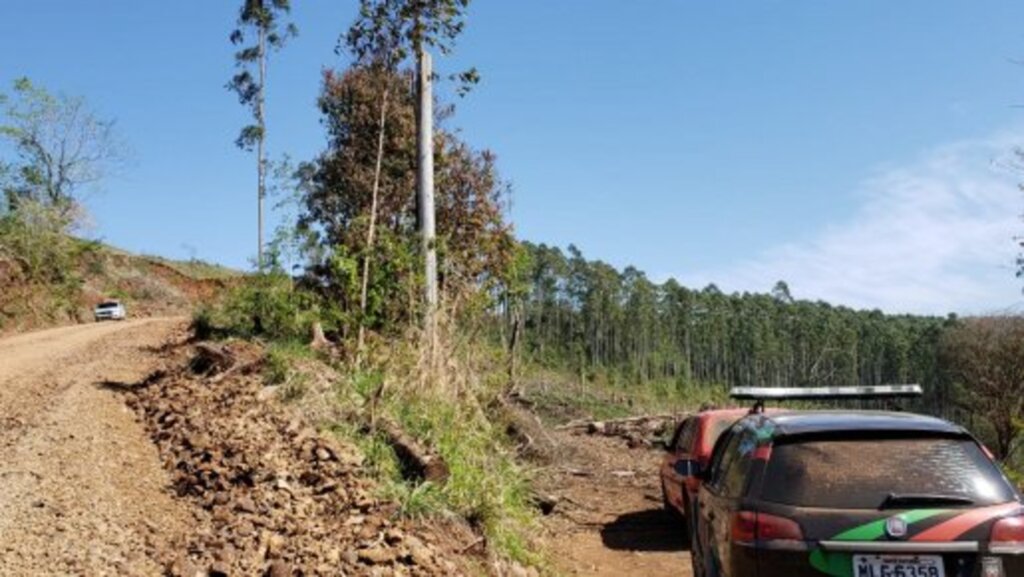 Idoso morre ao ser atingido por tora de eucalipto no Oeste de SC