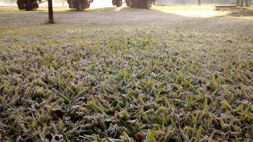 Defesa Civil recomenda cuidados extras para enfrentar o frio intenso dos próximos dias