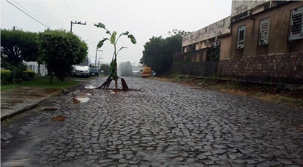 Moradores de São Miguel do Oeste colocam plantas em buracos na rua em protesto às condições da via