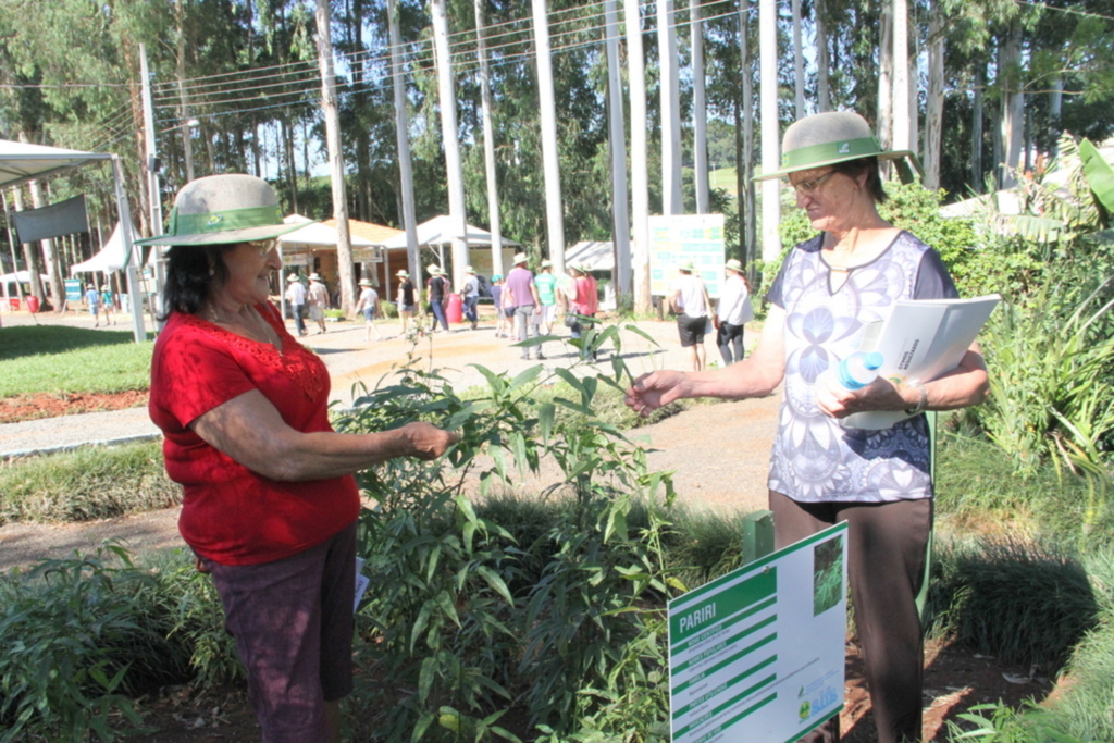 UFFS, campus de Chapecó presta informações a agricultores em evento de cooperativa