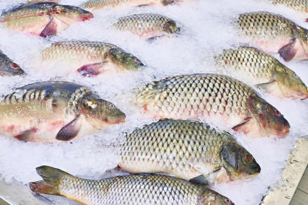 Feira do Peixe será realizada amanhã (24)