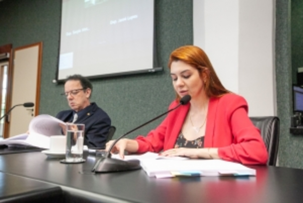 Alesc: CPI do Aborto aprova relatório final