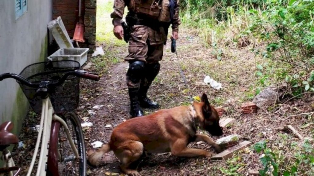 Canil localiza drogas em comunidade de Laguna