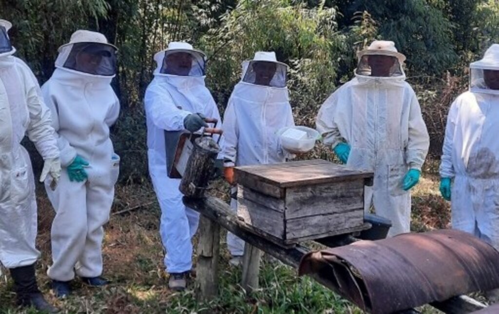  - Polinize - apicultores para trabalhar cursos de capacitação, com o objetivo de recuperar florestas; mostrando a importância das árvores de bracatinga e aumentando a produção do mel na região
