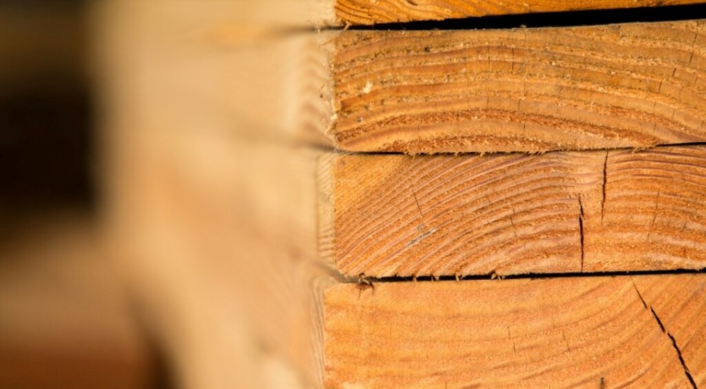 Exportação de madeira despenca