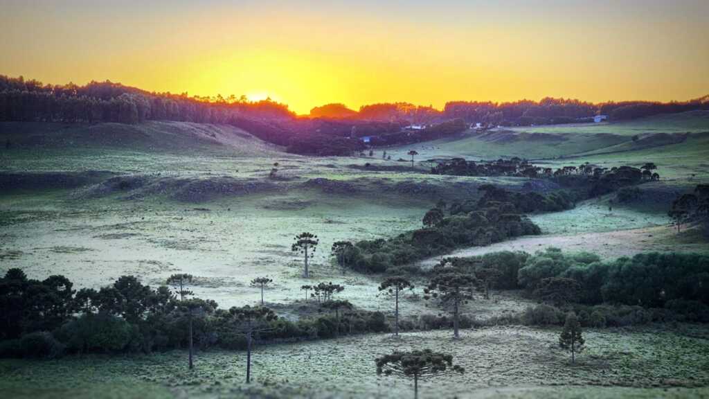 Primeira geada de 2023 é registrada na Serra Catarinense