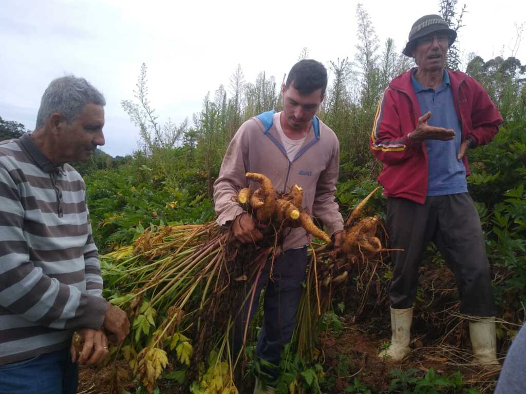 SC: Dia de Campo movimenta a Agricultura Familiar do Sul e Serra