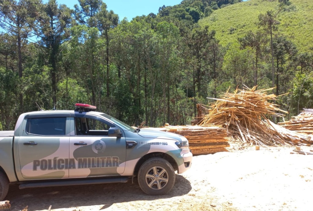 Polícia Militar Ambiental deflagra operação contra corte ilegal de araucária