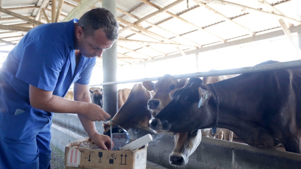 Prefeitura de Joinville oferece cursos gratuitos para produtores rurais durante o mês de janeiro