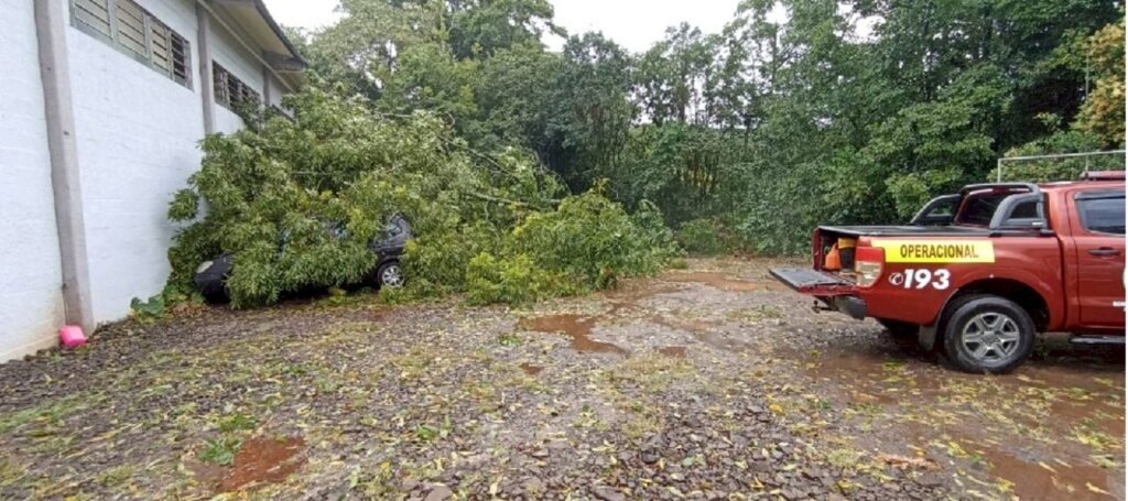 Temporal causa estragos em SC