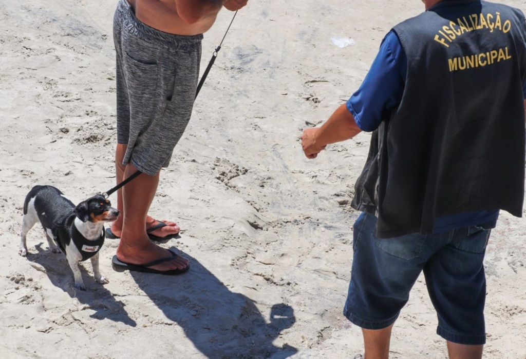 Verão: conscientização sobre animais domésticos nas praias é reforçada por especialista