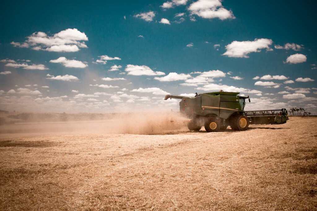 Mais soja/Divulgação - Um dos segmentos da agropecuária que mais cresce é a produção de grãos