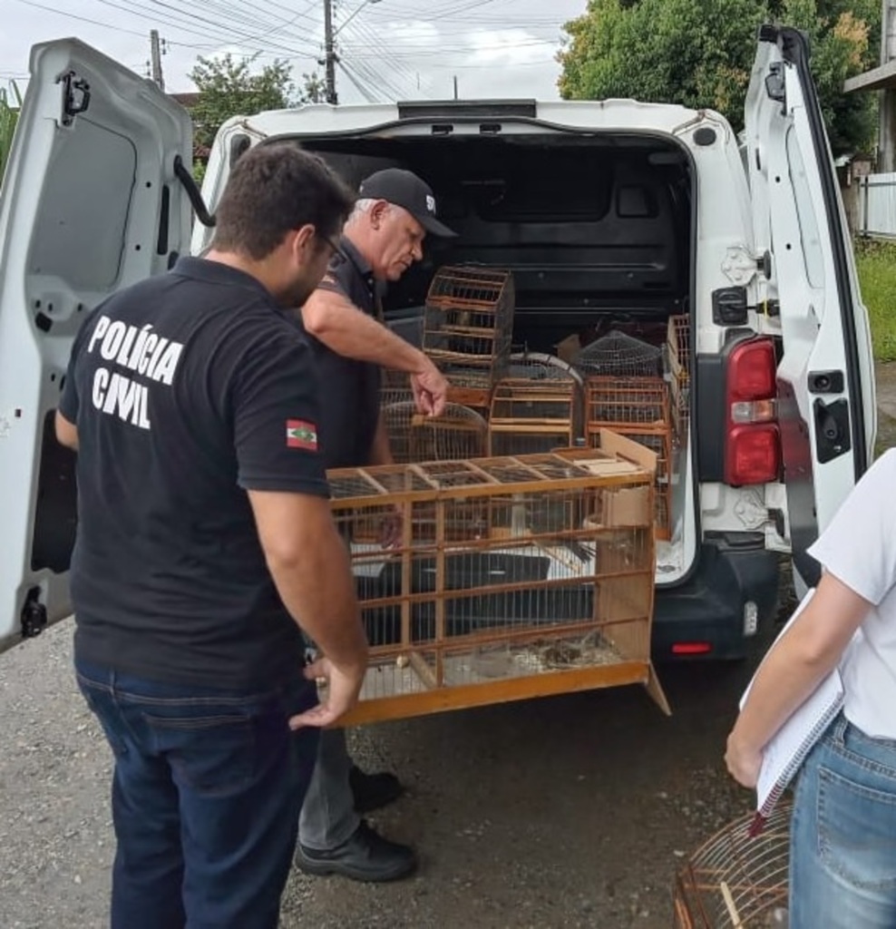 Polícia apreende aves silvestres no Jardim Paraíso