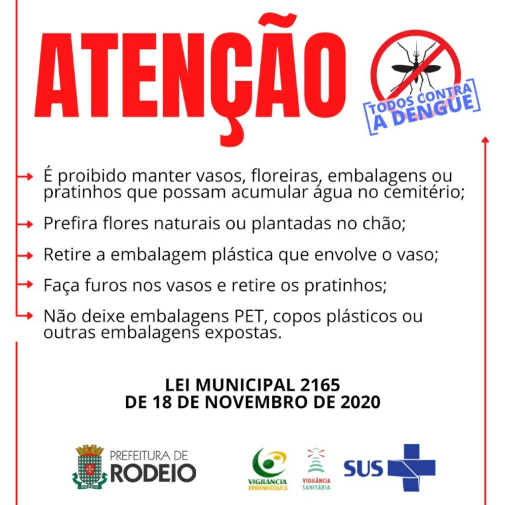 O DIA DE FINADOS VEM AI, E O MOSQUITO DA DENGUE ESTÁ DE OLHO