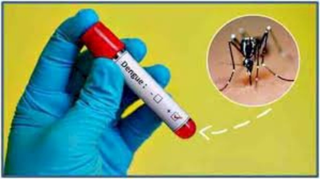 Casos de dengue crescem mais de 130% em Xanxerê