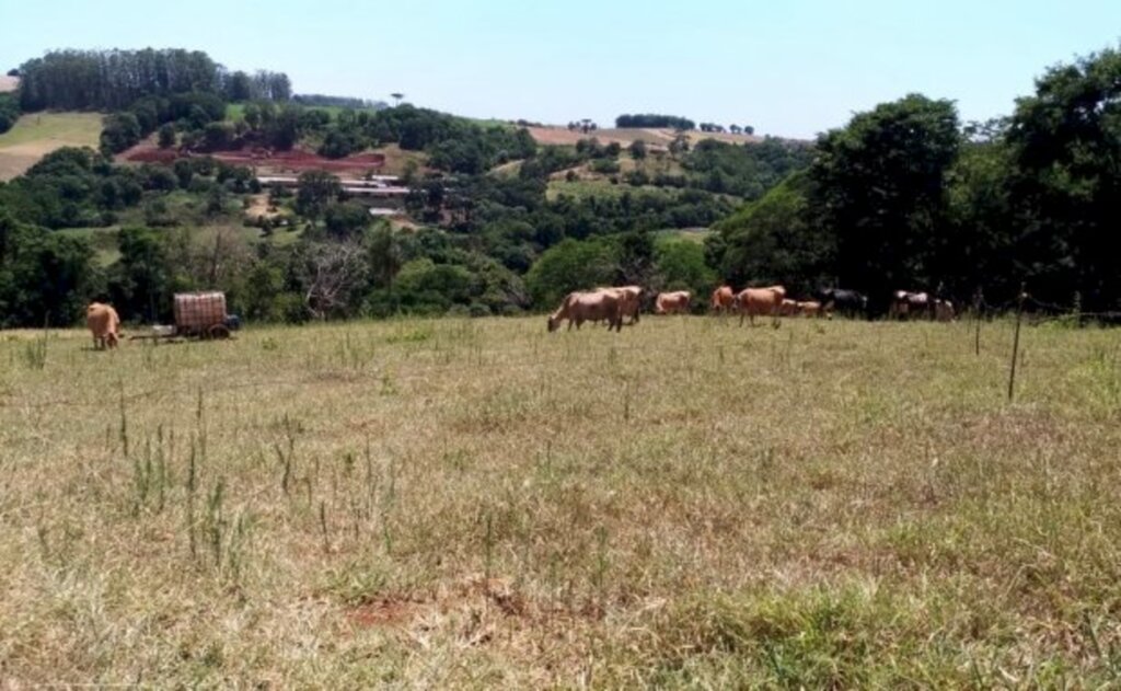 Governador convoca grupo de monitoramento com ações imediatas contra a estiagem