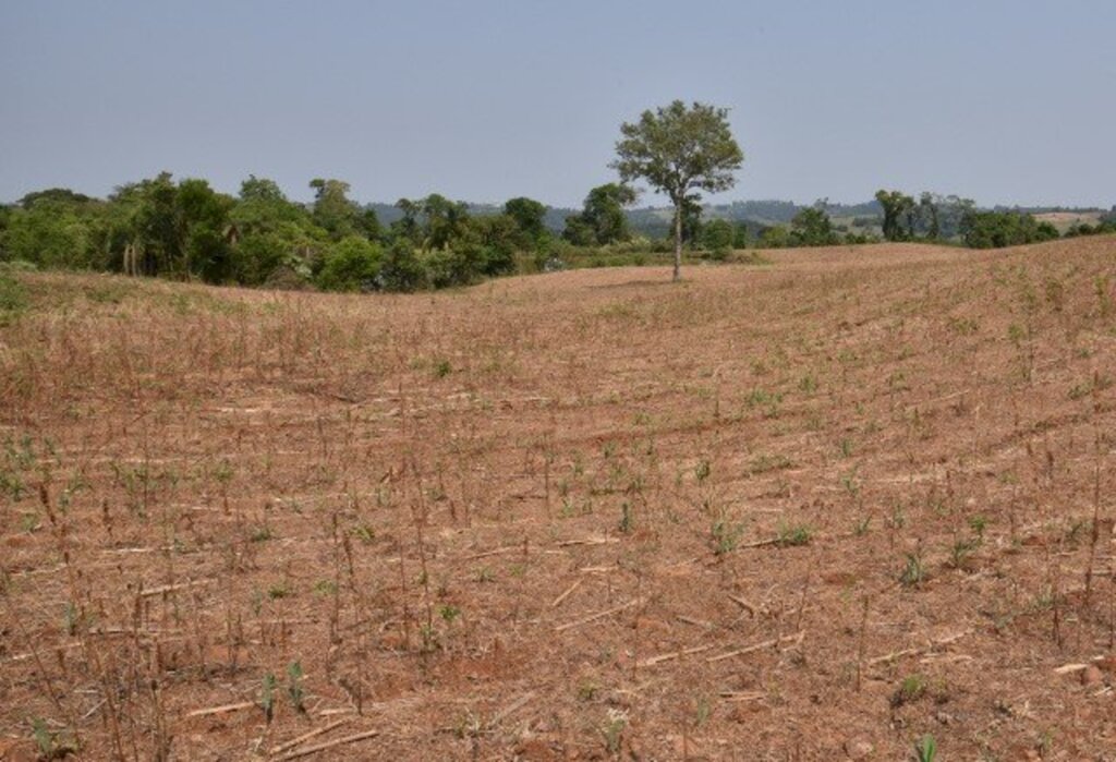 Santa Catarina pode entrar em estado de emergência climática