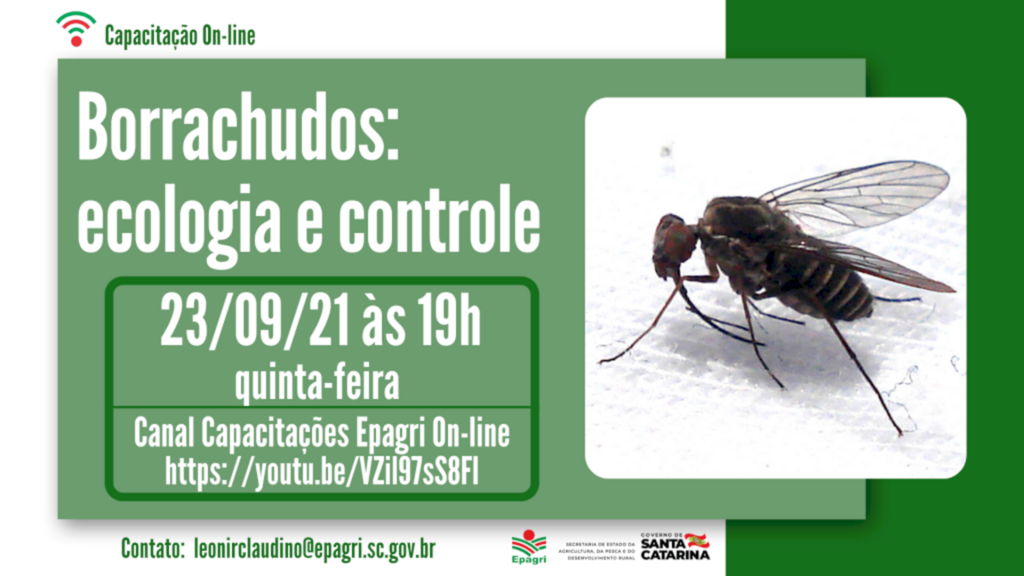 Capacitação On-line 'Borrachudos: ecologia e controle