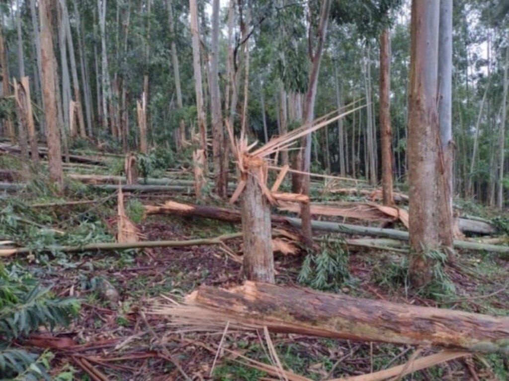 Santa Catarina registra dois tornados na manhã desta terça-feira.