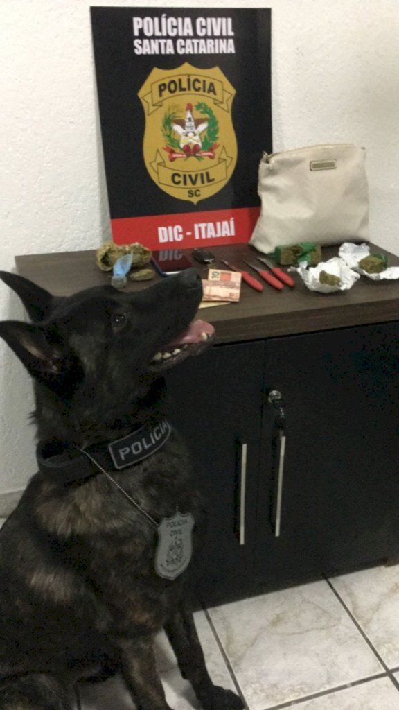 Traficante que fazia 'delivery' de drogas é preso em Santa Catarina