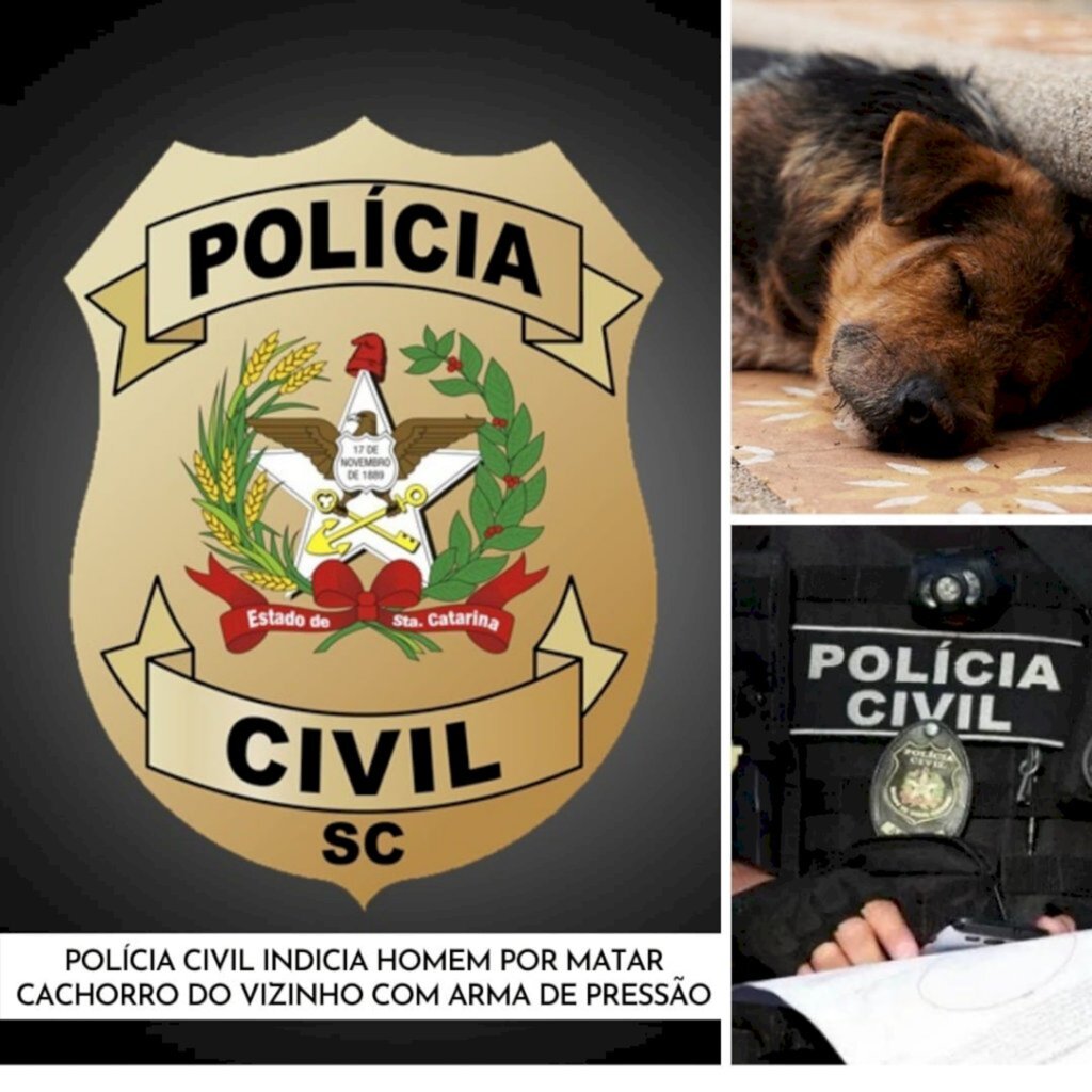 POLÍCIA CIVIL INDICIA HOMEM QUE MATOU CACHORRO DO VIZINHO COM ARMA DE PRESSÃO.