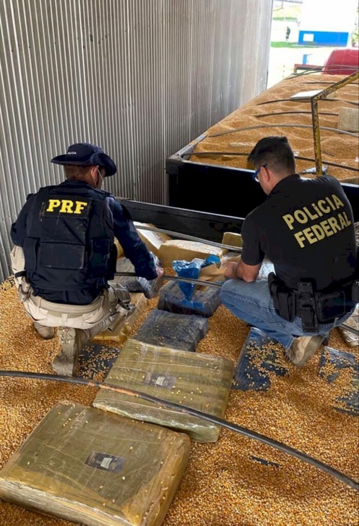 PRF e PF faz a maior apreensão de maconha da história de SC