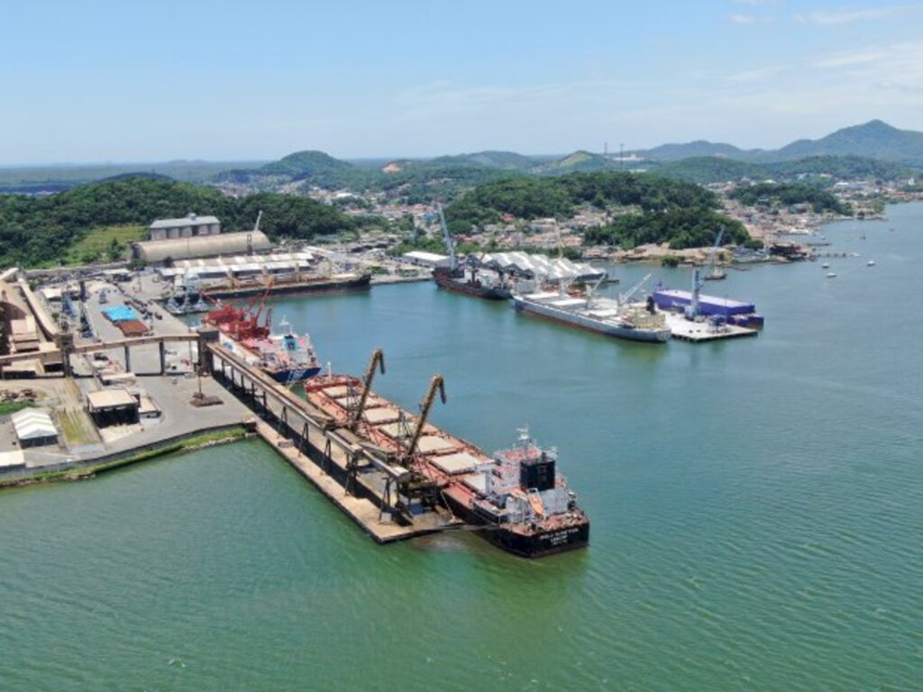 Exportação de soja aumenta 81% em 2022