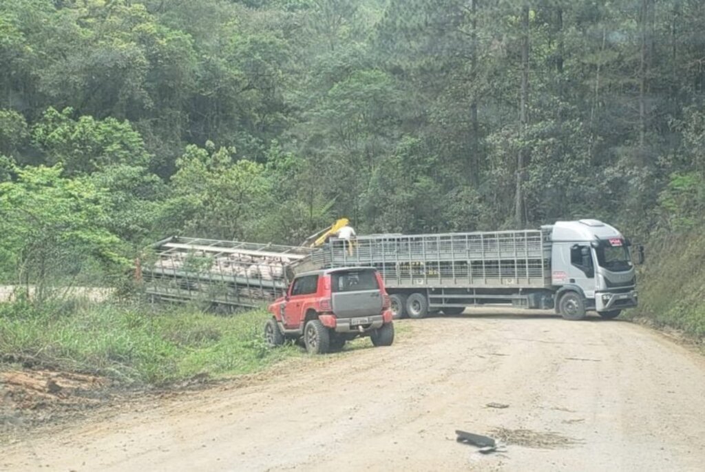 Caminhão carregado com porcos tomba no interior de Witmarsum