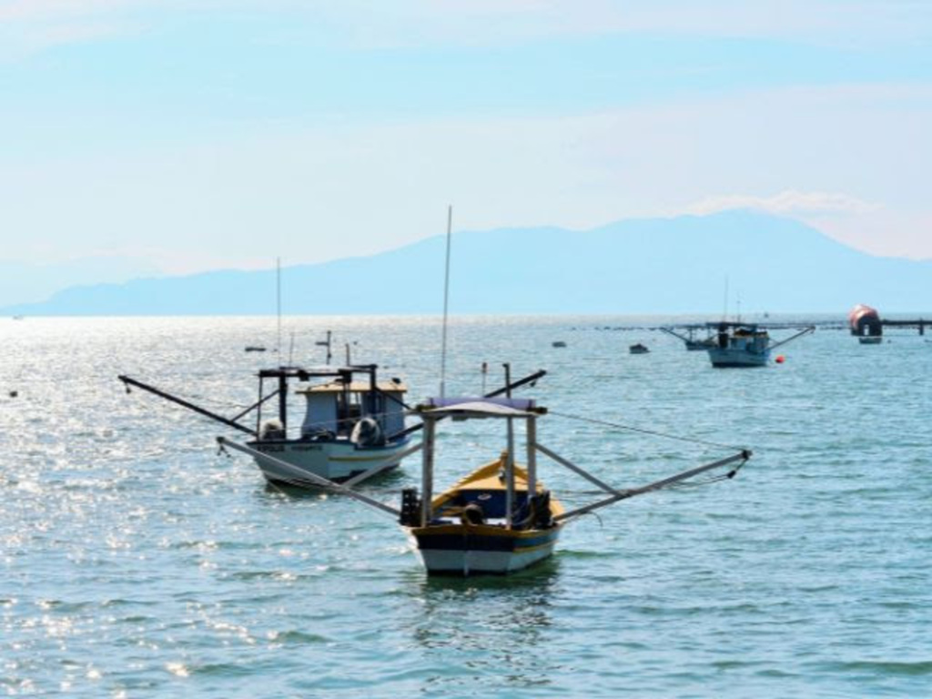 Aires Mariga / Epagri - Previsão da TSM pode ser usada por pescadores e oceanógrafos na tomada de decisão