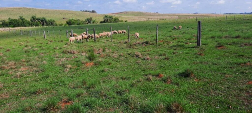 Emitida primeira certificação do programa Campos do Sul