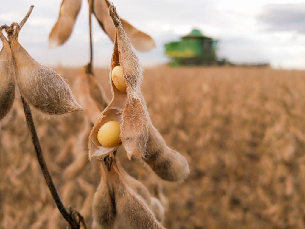 Datagro vê salto de 3% na área plantada de soja na safra 2020/21