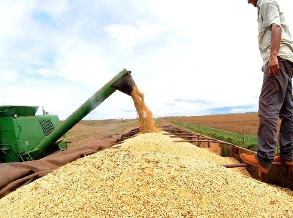 Produtividade da agropecuária cresce 3,43% ao ano