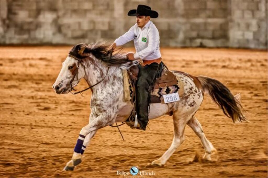 Brasil vence o 1º Sul-americano de Rédeas do Cavalo Crioulo