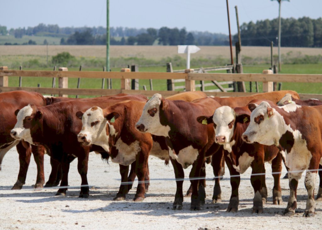 ABHB estende prazo para inscrições para Prova de Avaliação à Campo