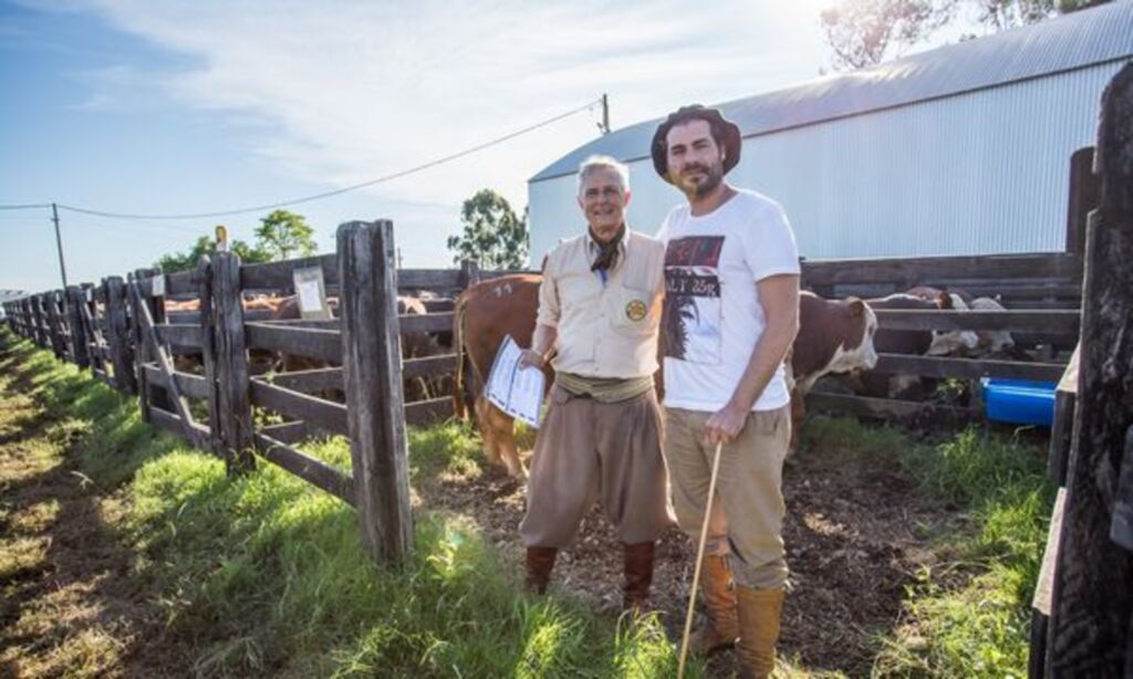 Guatambu, Alvorada e Caty registra recorde de preço na raça Hereford