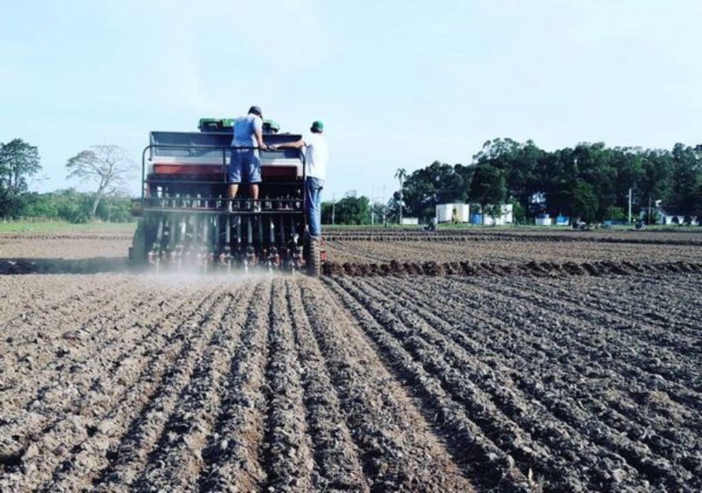 Iniciado plantio de área da Abertura da Colheita do Arroz