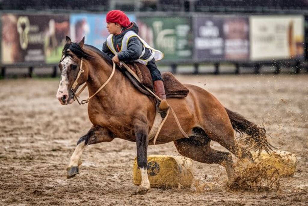 Freio Jovem encerra programação do Cavalo Crioulo na Expointer