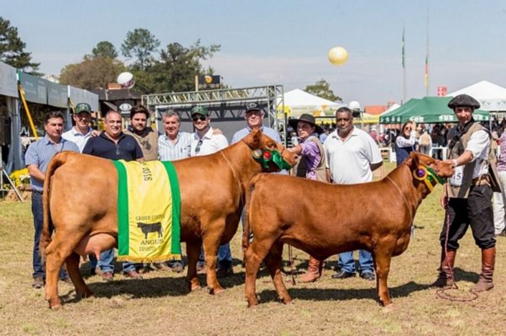 Alegrete fica com o Grande Campeonato Angus