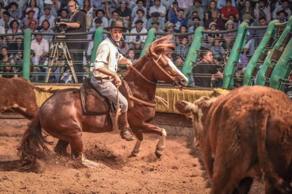 Competitividade vai marcar a final do Freio de Ouro 2018