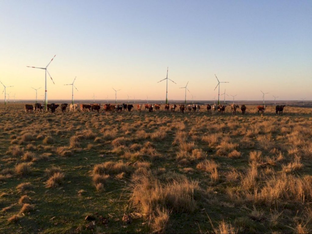 Fronteira Oeste do RS será um novo polo de energia eólica