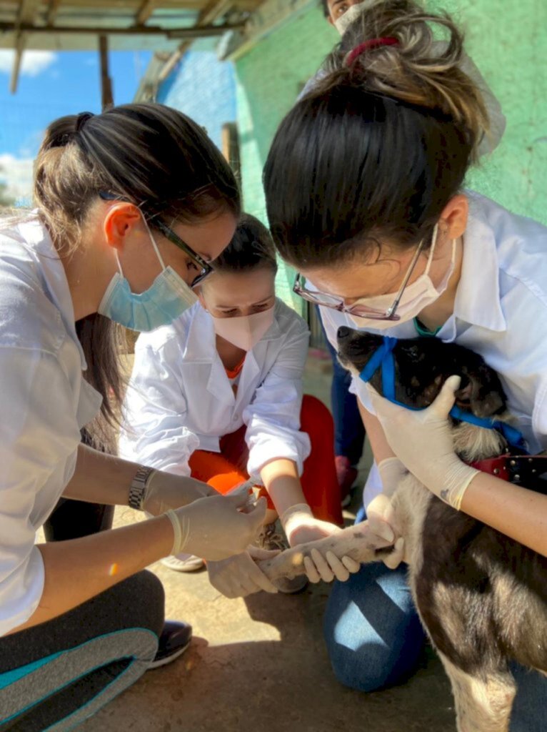 Nova Esperança II recebe mutirão veterinário