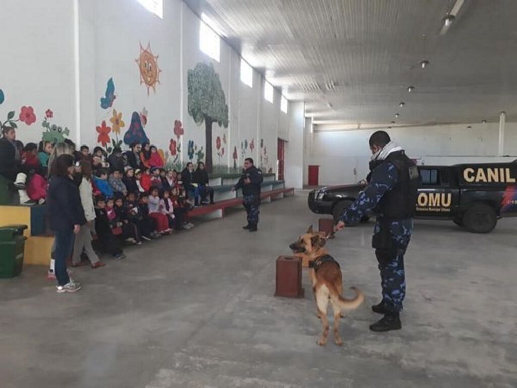 Equipe do Canil da Romu realiza atividades educativas em escola