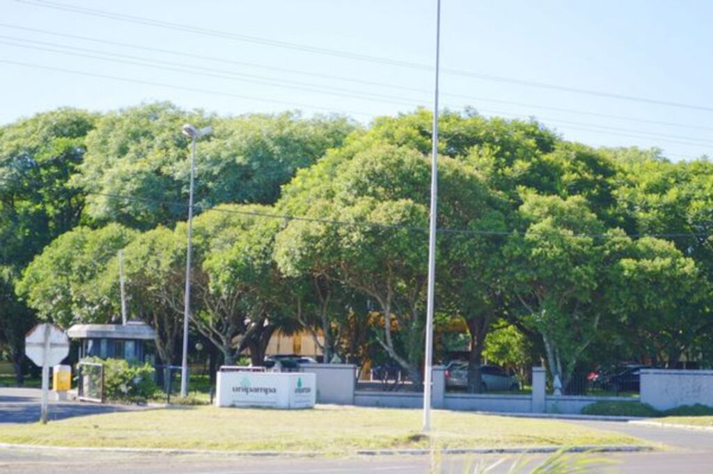 Campus Uruguaiana tem vagas em Processo Seletivo para professor substituto