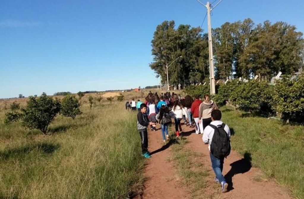 Estudantes do ensino fundamental visitam Colégio Agrícola