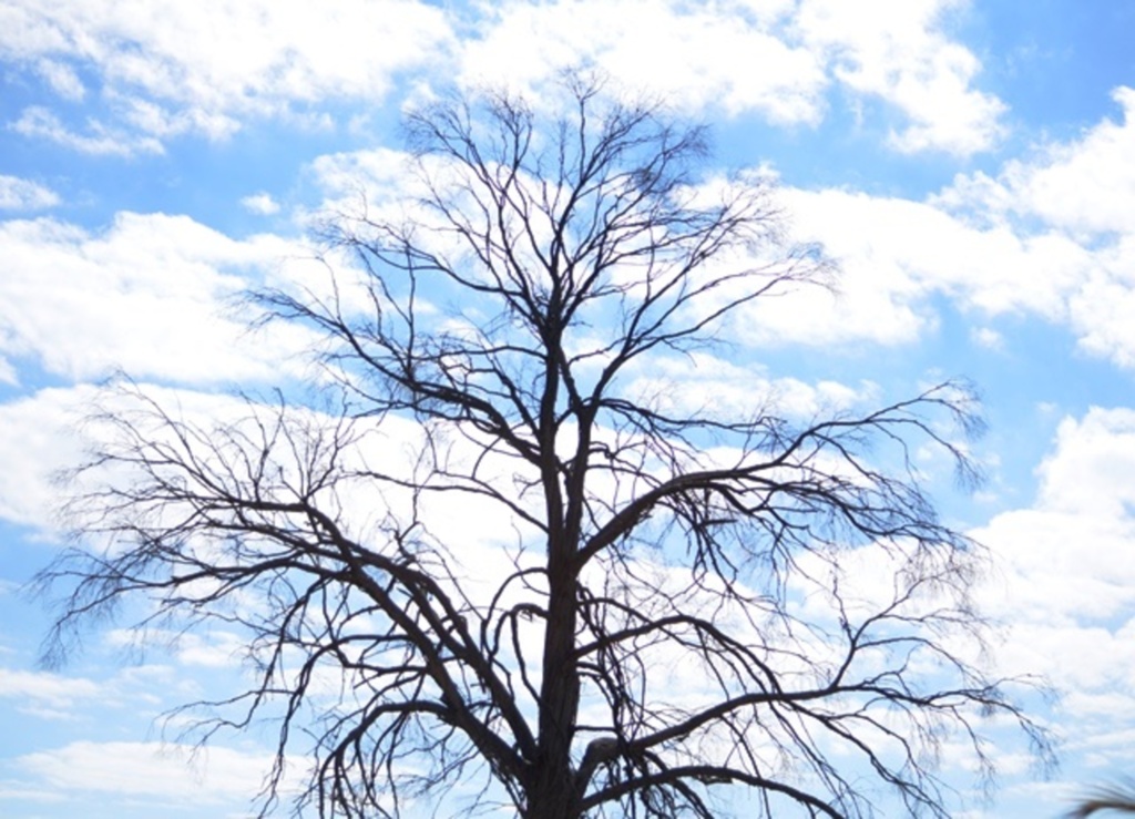 Instabilidade climática