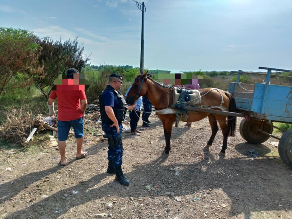 Duas pessoas encaminhadas à Delegacia por crime ambiental