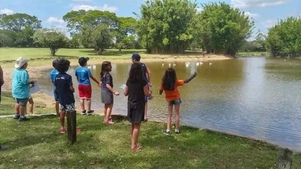 Brincando nas férias está com inscrições abertas